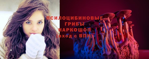 дмт Алзамай
